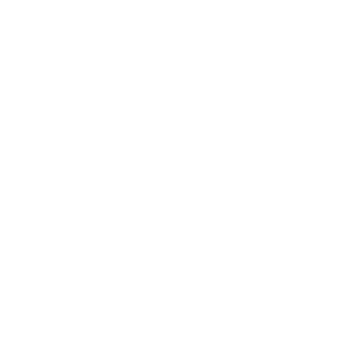 TDL Logo White